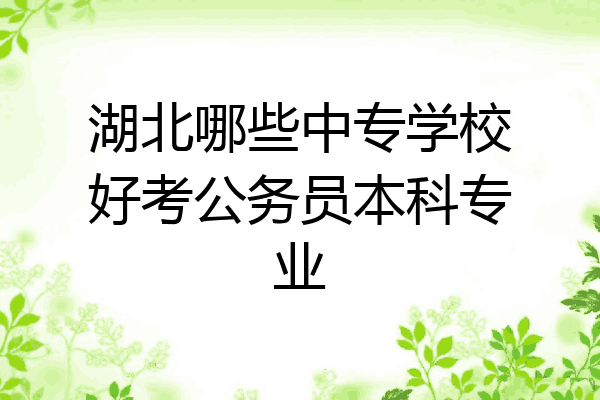 湖北哪些中专学校好考公务员本科专业