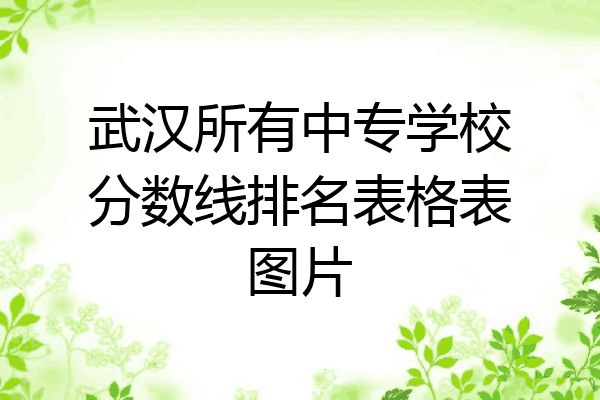 武汉所有中专学校分数线排名表格表图片