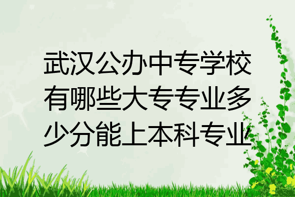 武汉公办中专学校有哪些大专专业多少分能上本科专业
