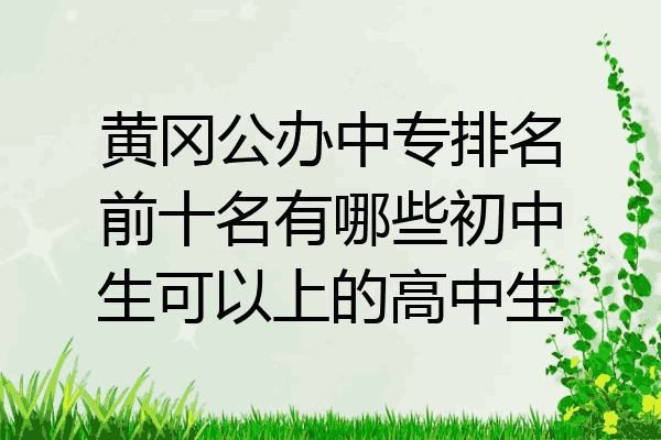 黄冈公办中专排名前十名有哪些初中生可以上的高中生