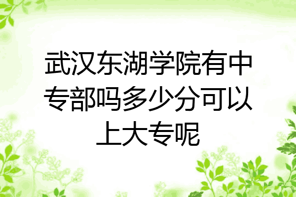 武汉东湖学院有中专部吗多少分可以上大专呢