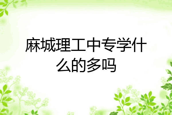 麻城理工中专学什么的多吗