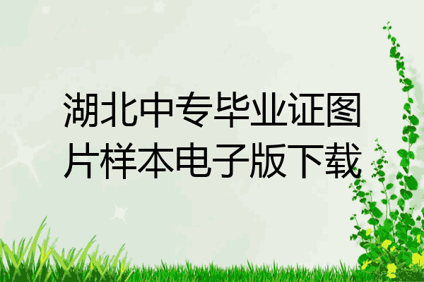 湖北中专毕业证图片样本电子版下载