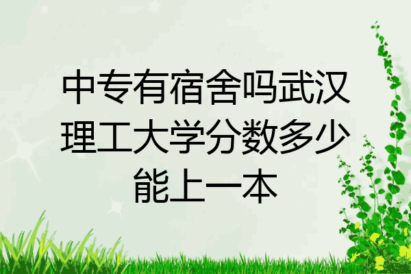 中专有宿舍吗武汉理工大学分数多少能上一本