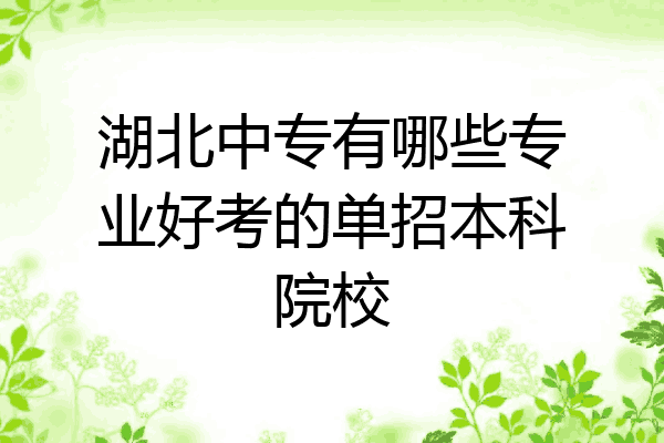 湖北中专有哪些专业好考的单招本科院校