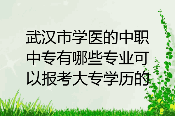 武汉市学医的中职中专有哪些专业可以报考大专学历的