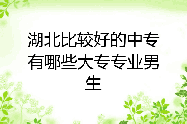 湖北比较好的中专有哪些大专专业男生