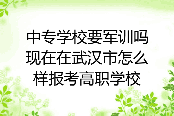 中专学校要军训吗现在在武汉市怎么样报考高职学校