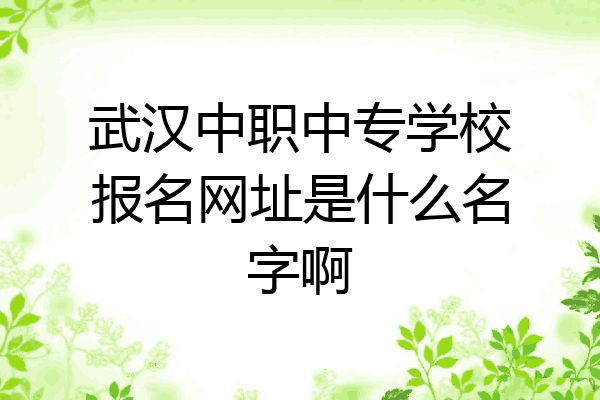 武汉中职中专学校报名网址是什么名字啊