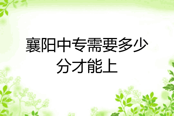 襄阳中专需要多少分才能上