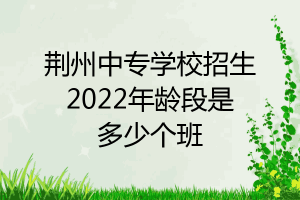 荆州中专学校招生2022年龄段是多少个班
