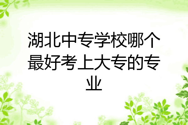 湖北中专学校哪个最好考上大专的专业