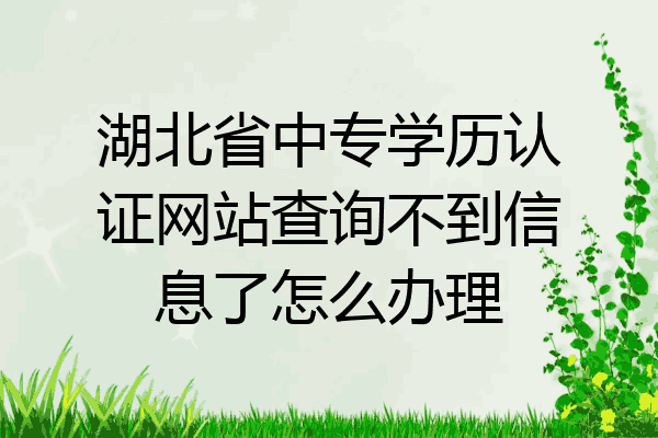 湖北省中专学历认证网站查询不到信息了怎么办理