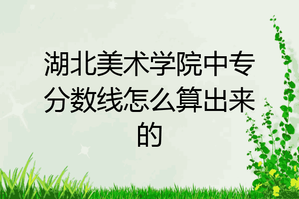 湖北美术学院中专分数线怎么算出来的