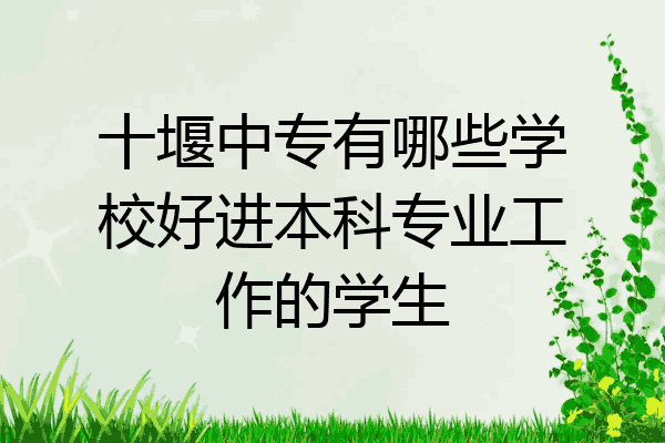 十堰中专有哪些学校好进本科专业工作的学生