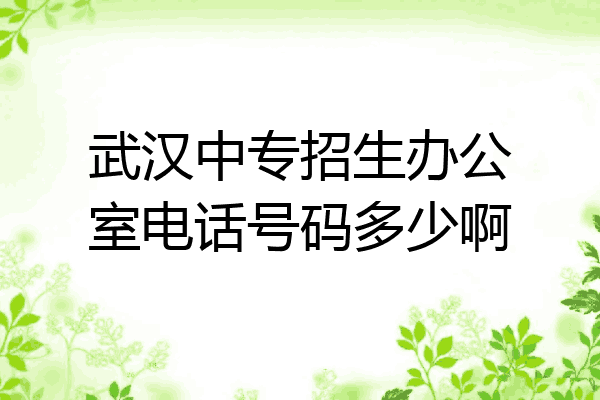 武汉中专招生办公室电话号码多少啊