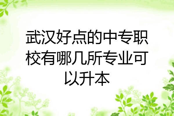 武汉好点的中专职校有哪几所专业可以升本