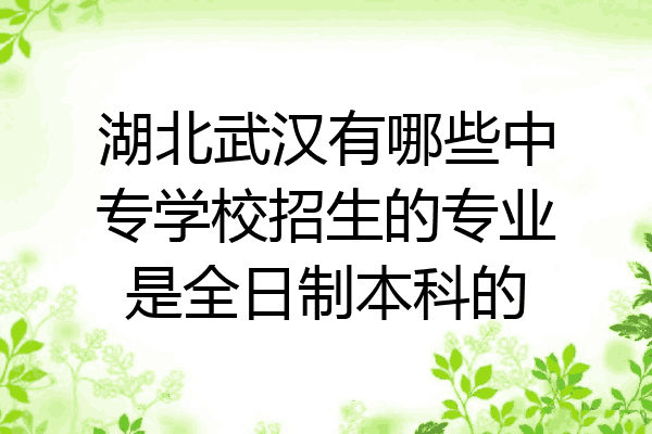 湖北武汉有哪些中专学校招生的专业是全日制本科的
