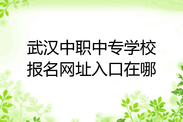 武汉中职中专学校报名网址入口在哪