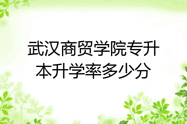 武汉商贸学院专升本升学率多少分