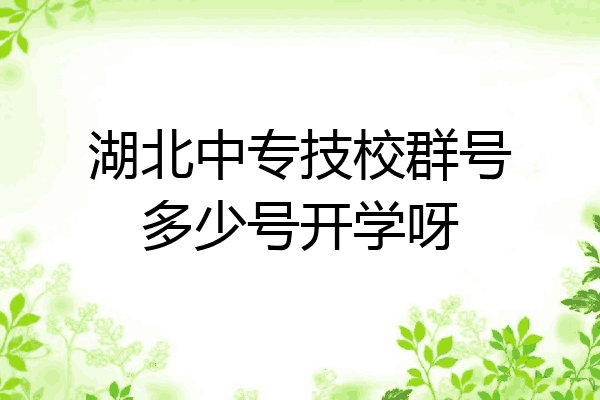 湖北中专技校群号多少号开学呀