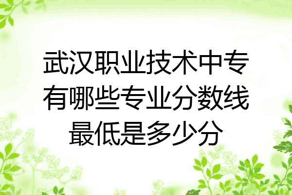 武汉职业技术中专有哪些专业分数线最低是多少分