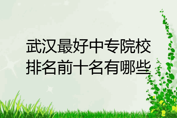武汉最好中专院校排名前十名有哪些