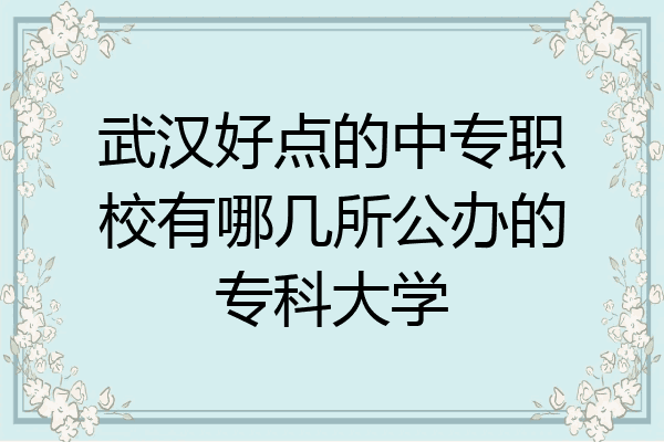 武汉好点的中专职校有哪几所公办的专科大学