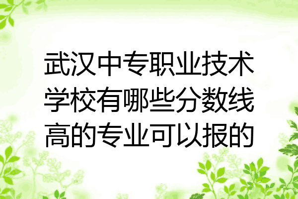 武汉中专职业技术学校有哪些分数线高的专业可以报的