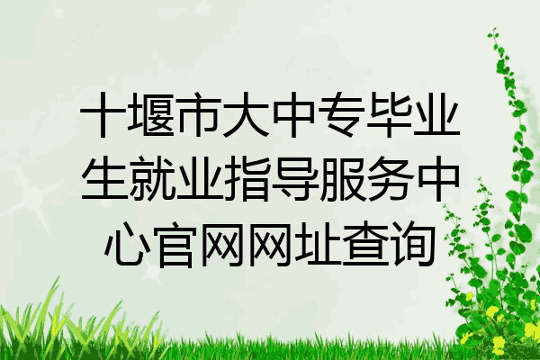 十堰市大中专毕业生就业指导服务中心官网网址查询