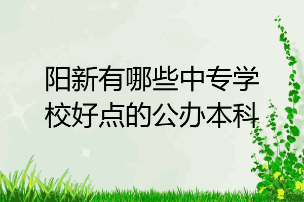 阳新有哪些中专学校好点的公办本科