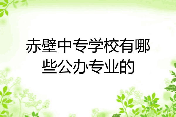 赤壁中专学校有哪些公办专业的