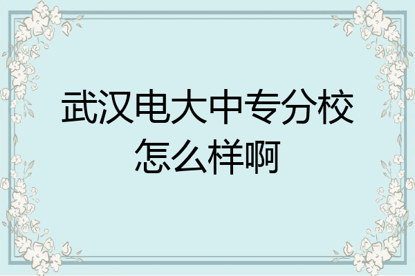 武汉电大中专分校怎么样啊