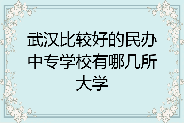 武汉比较好的民办中专学校有哪几所大学
