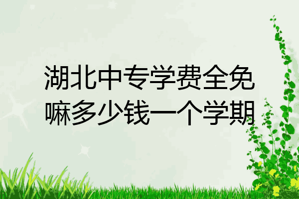 湖北中专学费全免嘛多少钱一个学期
