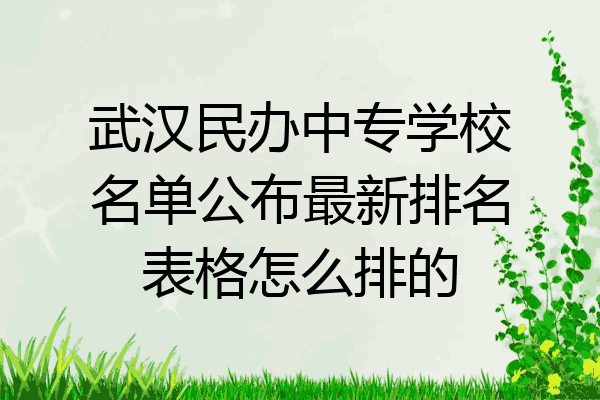 武汉民办中专学校名单公布最新排名表格怎么排的