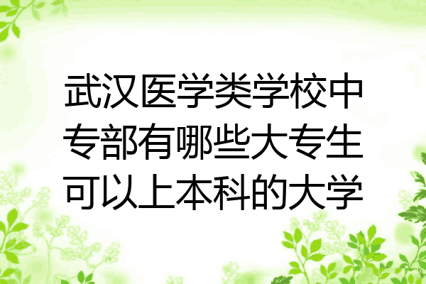 武汉医学类学校中专部有哪些大专生可以上本科的大学