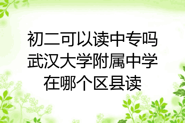 初二可以读中专吗武汉大学附属中学在哪个区县读