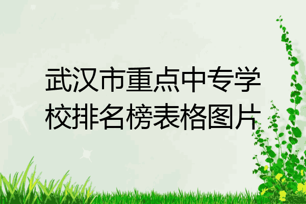 武汉市重点中专学校排名榜表格图片
