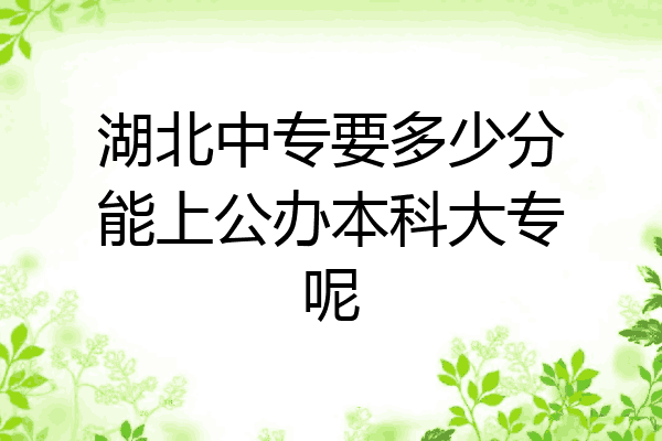 湖北中专要多少分能上公办本科大专呢