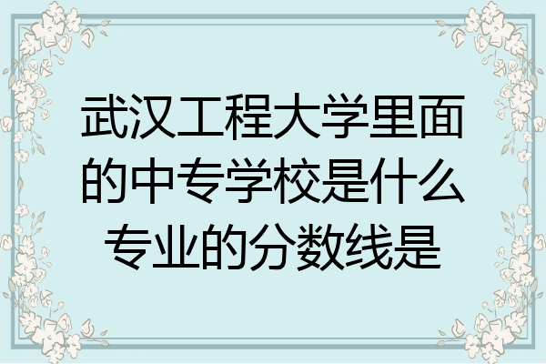 武汉工程大学里面的中专学校是什么专业的分数线是