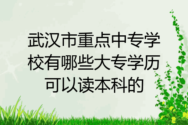 武汉市重点中专学校有哪些大专学历可以读本科的