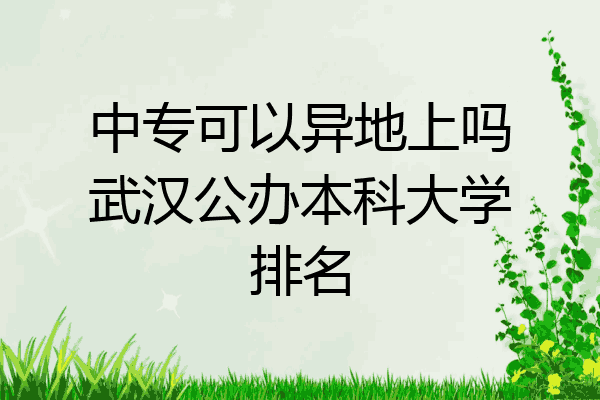 中专可以异地上吗武汉公办本科大学排名