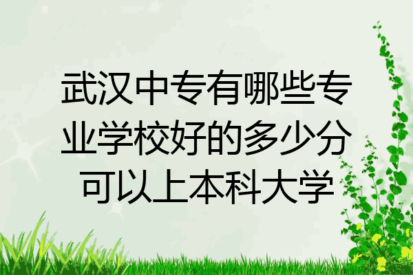 武汉中专有哪些专业学校好的多少分可以上本科大学