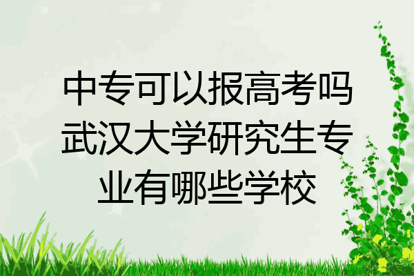 中专可以报高考吗武汉大学研究生专业有哪些学校