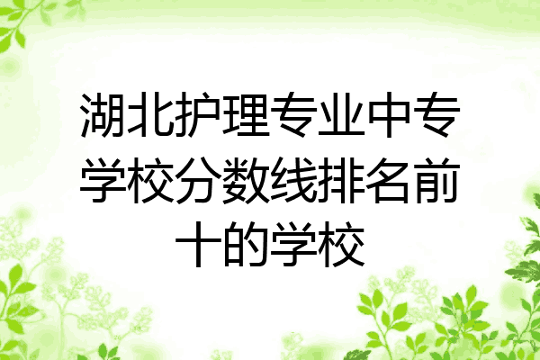 湖北护理专业中专学校分数线排名前十的学校