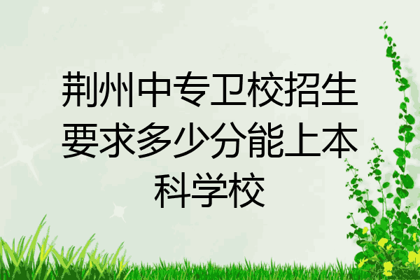 荆州中专卫校招生要求多少分能上本科学校