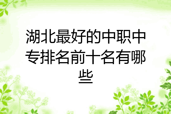 湖北最好的中职中专排名前十名有哪些