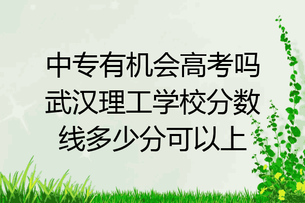 中专有机会高考吗武汉理工学校分数线多少分可以上