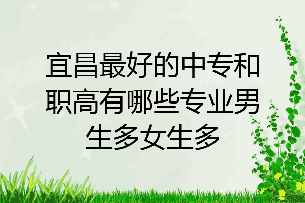 宜昌最好的中专和职高有哪些专业男生多女生多